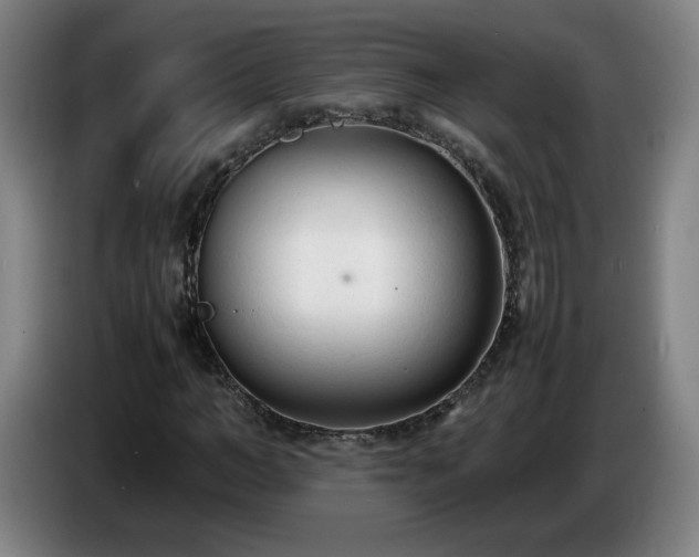 X0000086720966200704201623