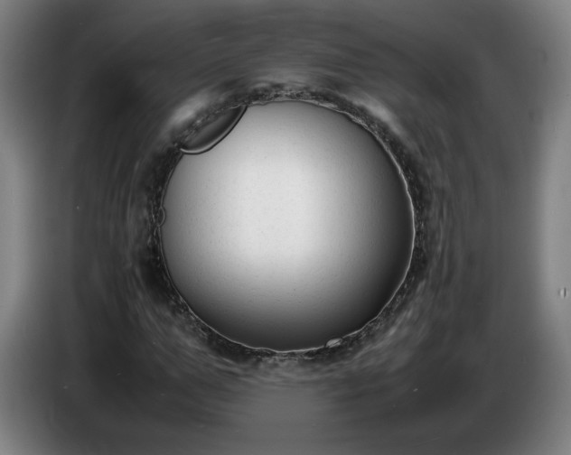 X0000086720967200704201623