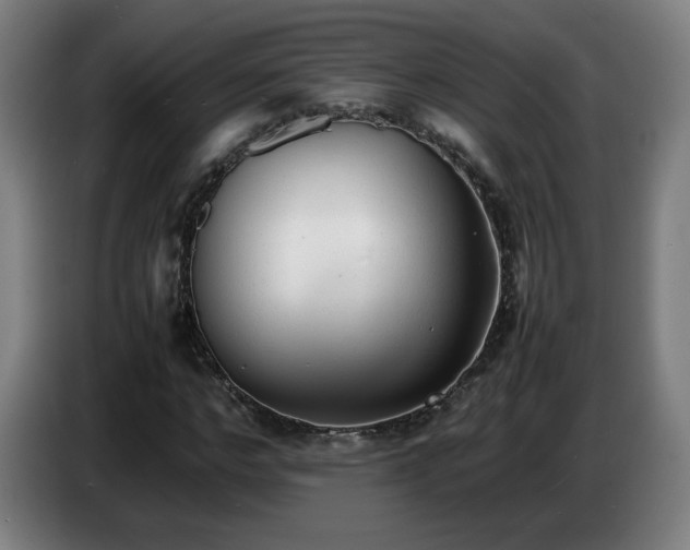 X0000086720968200704201623