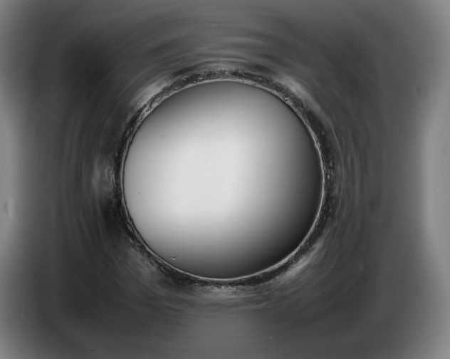 X0000086720969200704201623