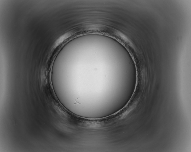 X0000086720970200704201623