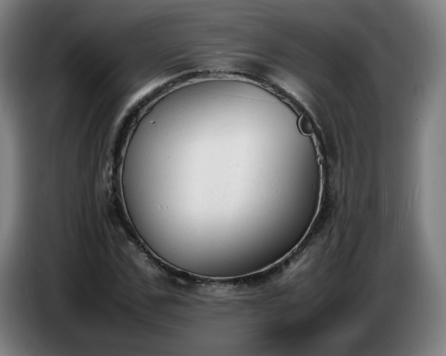 X0000086720971200704201623