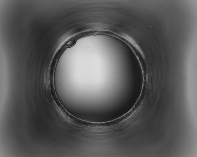 X0000086720972200704201623