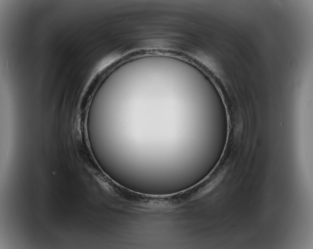 X0000086720974200704201623