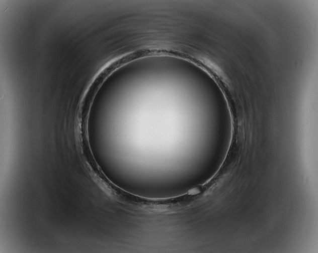 X0000086720976200704201623