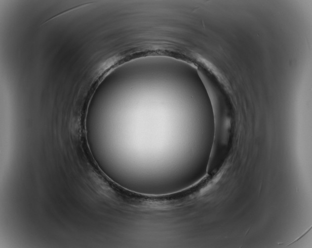 X0000086720977200704201623