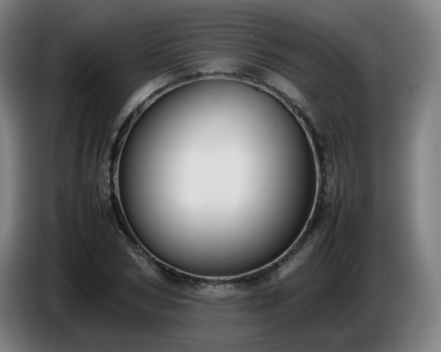 X0000086720978200704201623