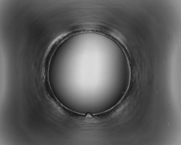 X0000086720979200704201623
