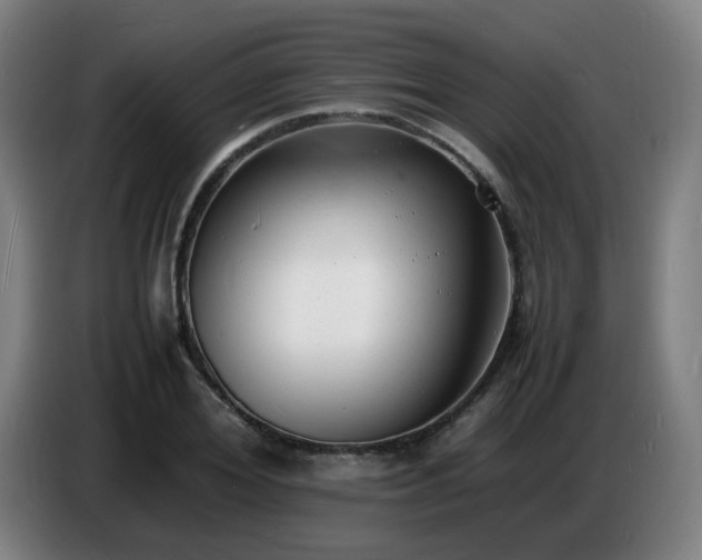 X0000086720980200704201623