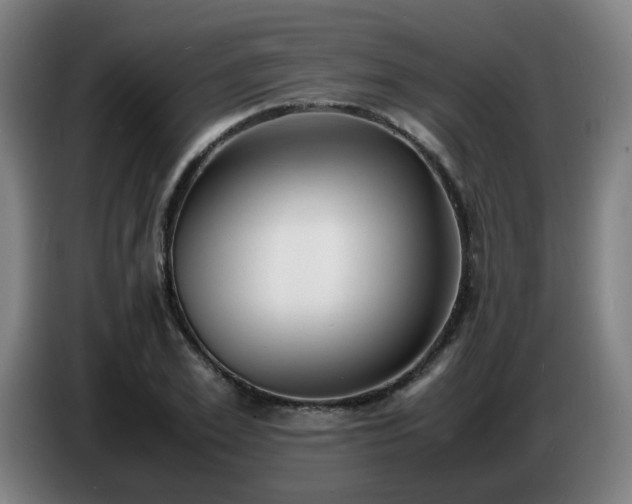 X0000086720981200704201623
