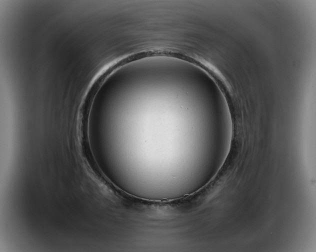 X0000086720983200704201623