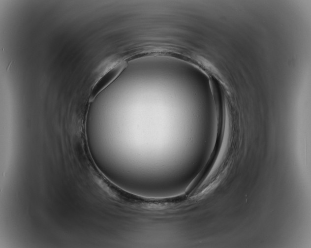 X0000086720985200704201623