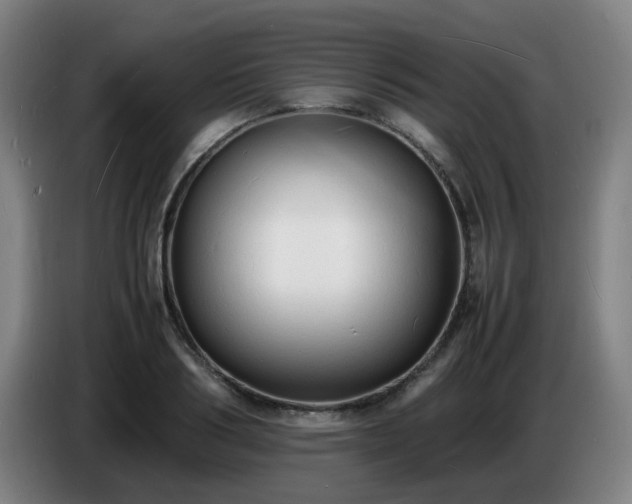 X0000086720986200704201623
