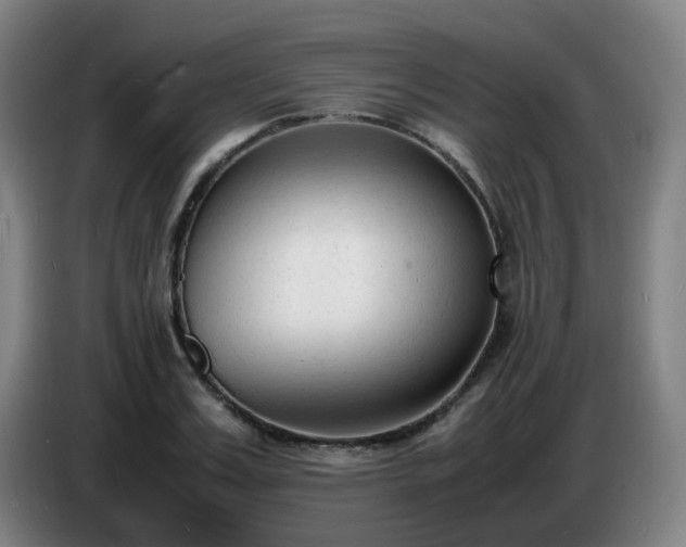 X0000086720987200704201623