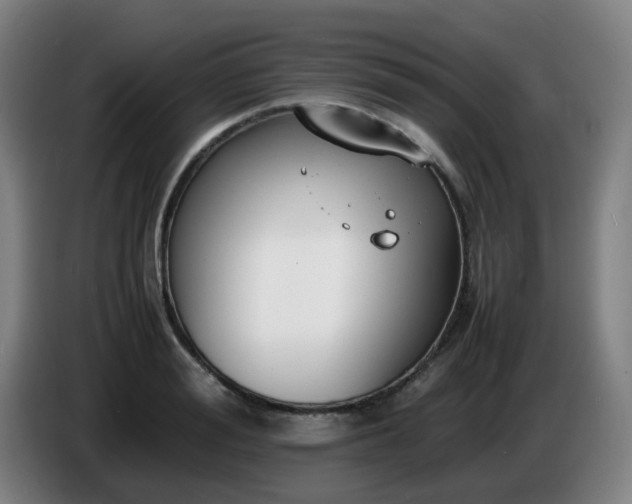 X0000086720988200704201623