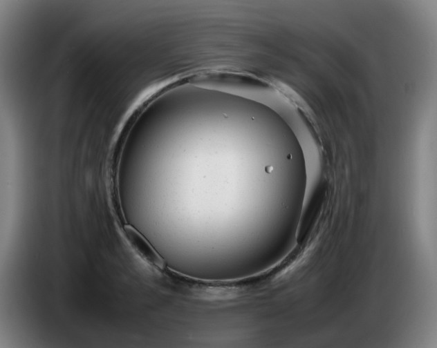 X0000086720989200704201623