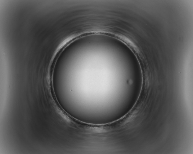 X0000086720990200704201623