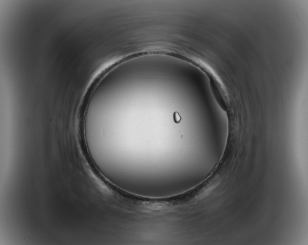 X0000086720991200704201623