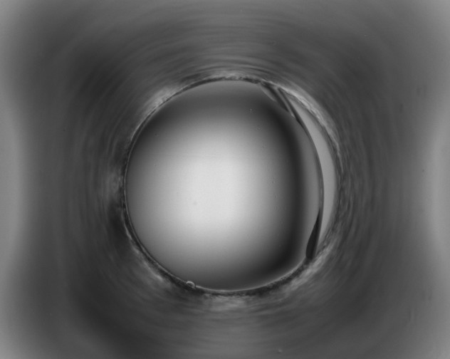 X0000086720993200704201623
