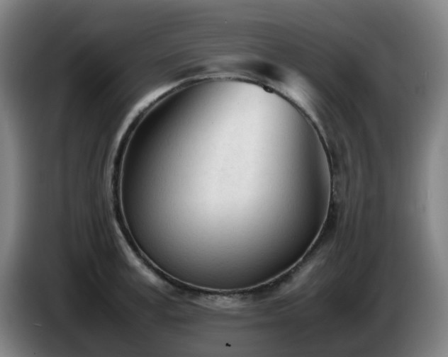 X0000086720995200704201623