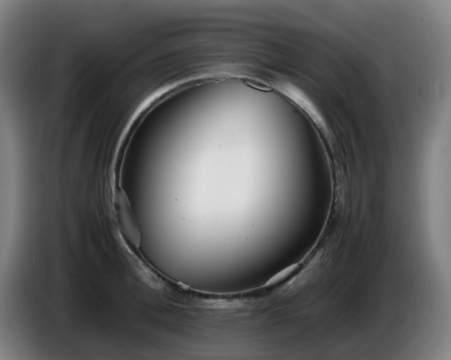 X0000086720996200704201623