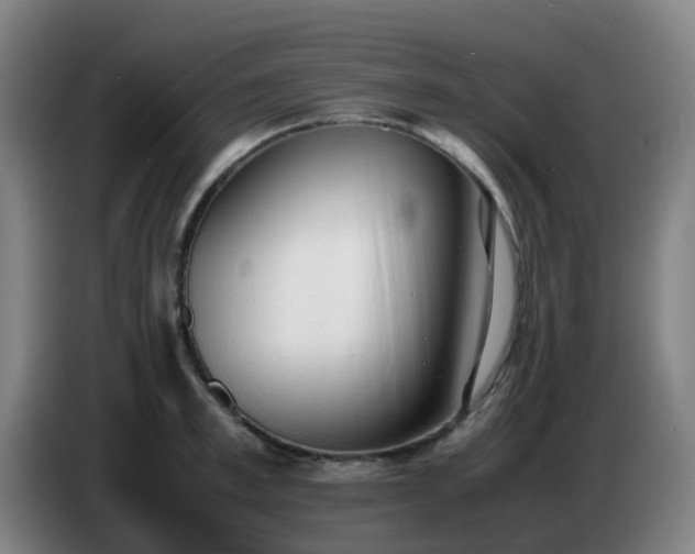 X0000086720997200704201623