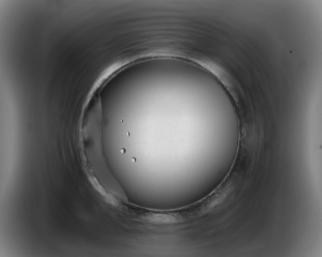 X0000086720998200704201623