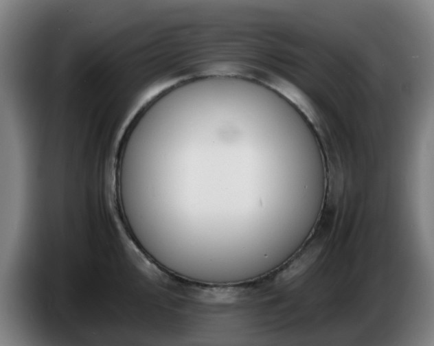 X0000086721000200704201623