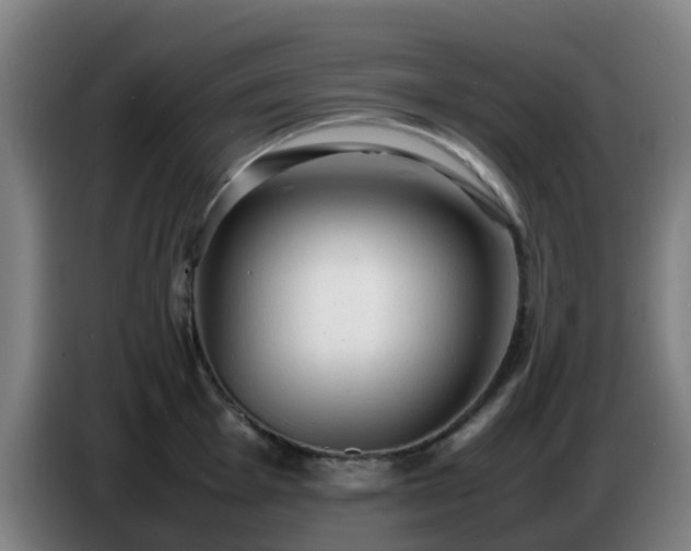 X0000086721001200704201623