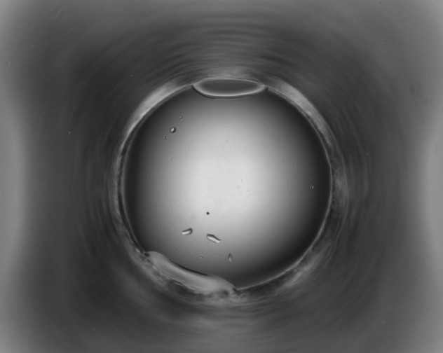 X0000086721002200704201623