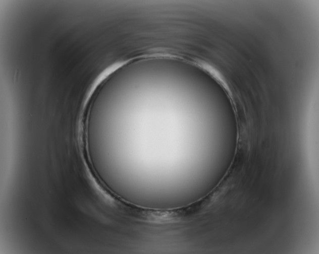 X0000086721003200704201623