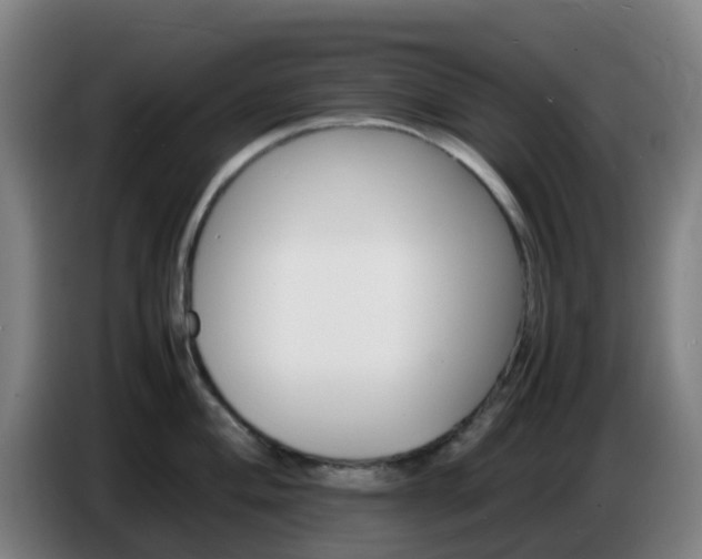 X0000086721004200704201623