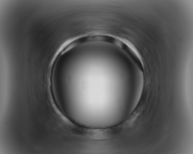 X0000086721005200704201623