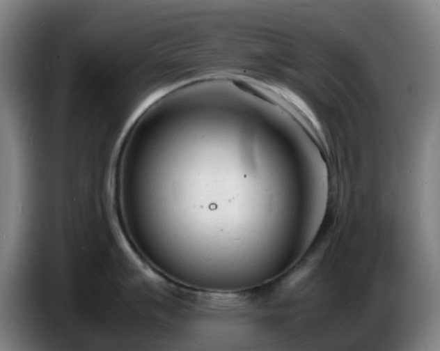 X0000086721007200704201623