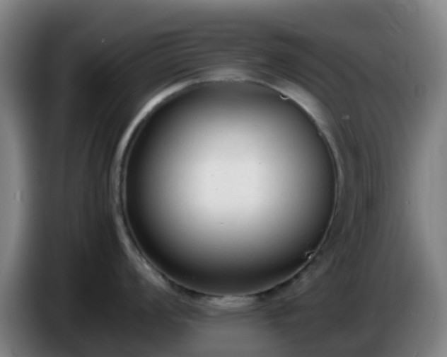 X0000086721008200704201623