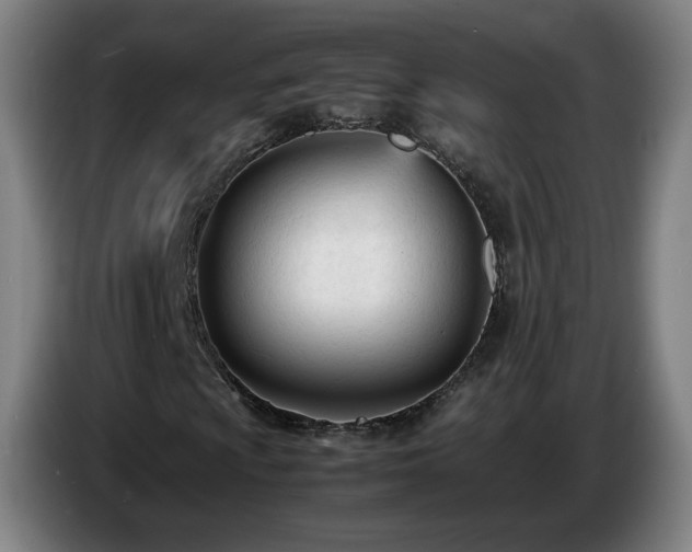 X0000086721009200704201622