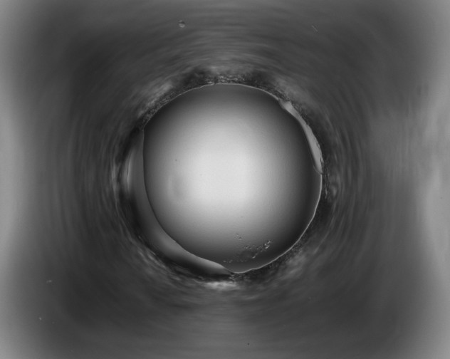 X0000086721010200704201622