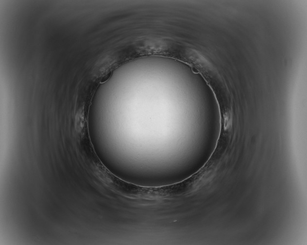 X0000086721011200704201622