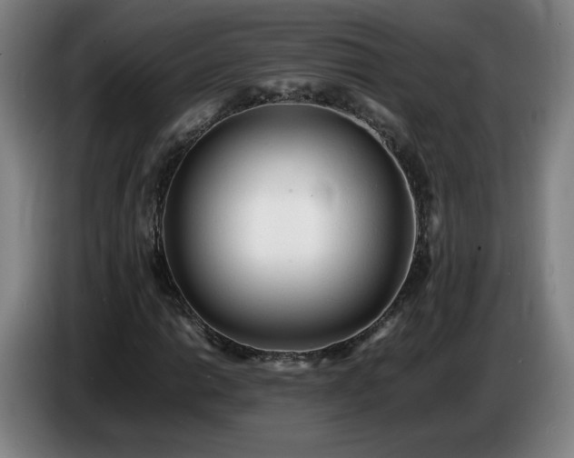 X0000086721014200704201622