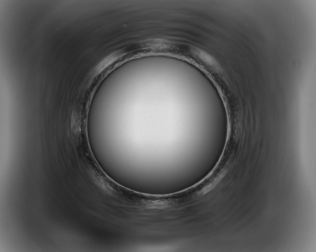 X0000086721017200704201622