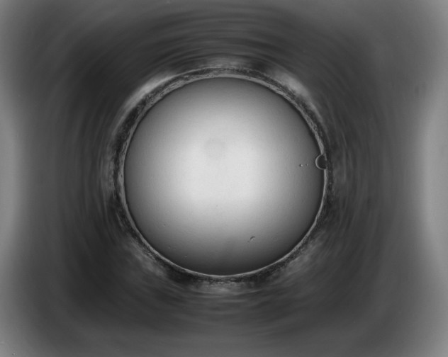 X0000086721019200704201622