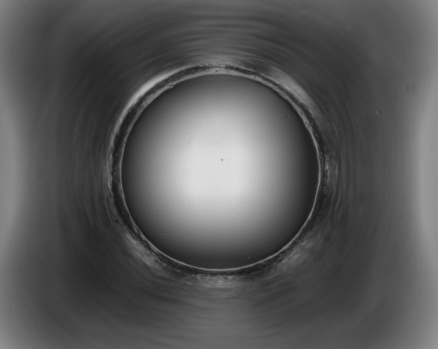 X0000086721020200704201622