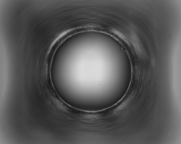 X0000086721021200704201622