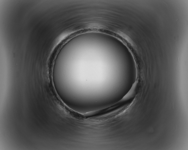 X0000086721022200704201622