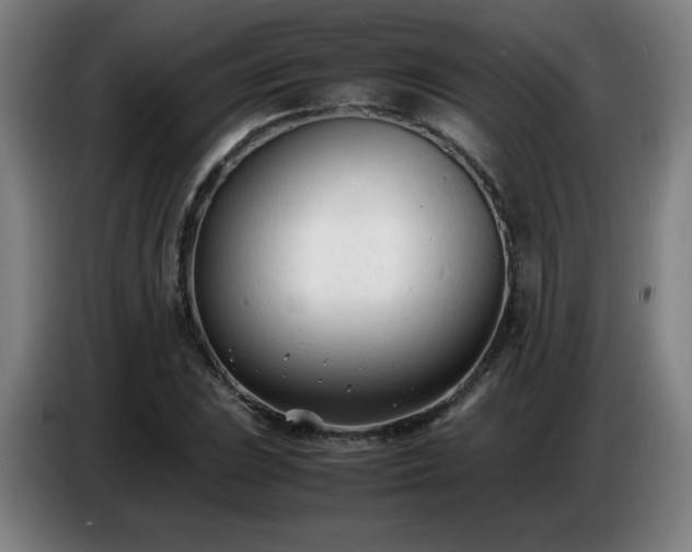 X0000086721023200704201622