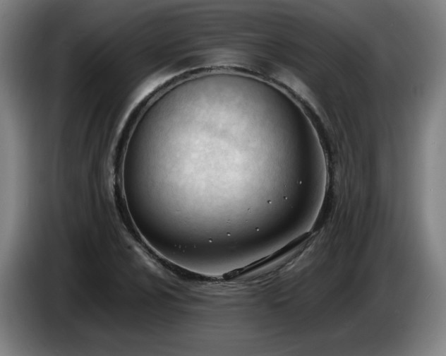 X0000086721024200704201622