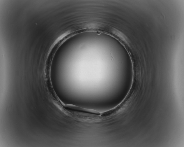 X0000086721026200704201622