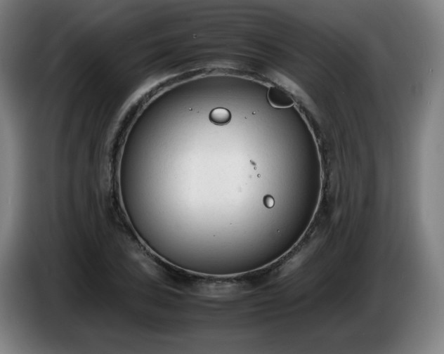 X0000086721027200704201622