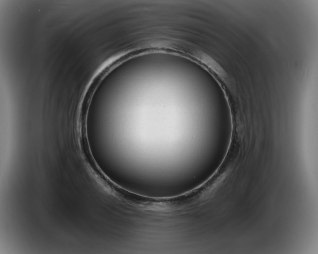 X0000086721028200704201622