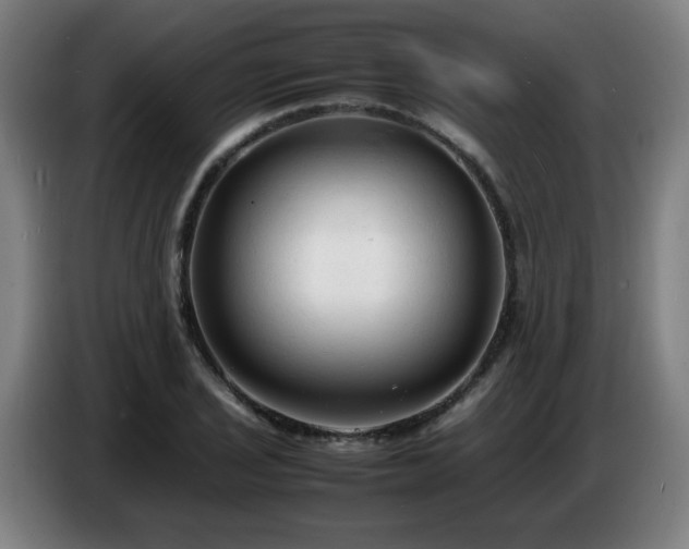 X0000086721029200704201622